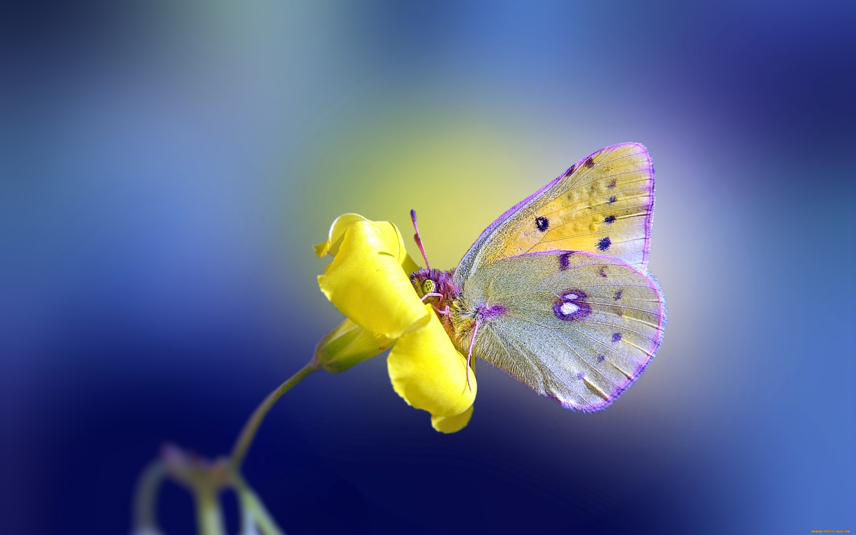 , , , , , 